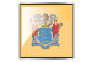 New Jersey Flag Square icon flag