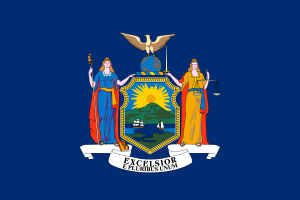 Flag of New York flag