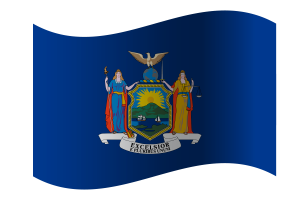 New York Flag flag