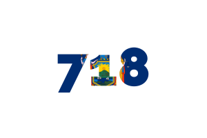 New York Area Codes flag