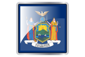 New York Flag Square icon flag