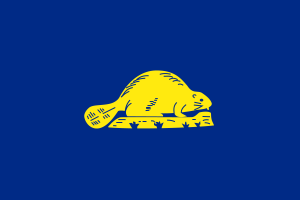 Flag of Oregon Reverse flag