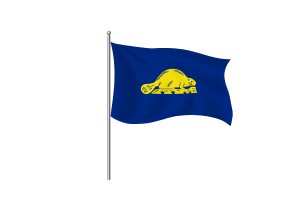 Oregon Reverse Flag symbol flag