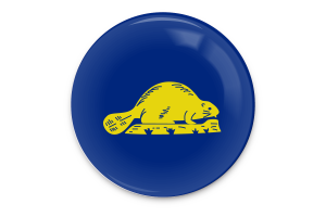 Oregon Reverse Flag Vector Art flag