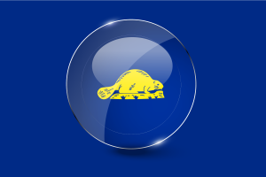 Oregon Reverse Flag Glossy Round Button flag