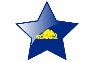 Oregon Reverse Flag Star Icon flag
