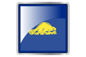 Oregon Reverse Flag Square icon flag