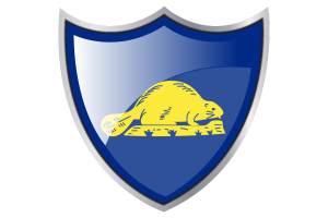 Shield with Flag of Oregon Reverse flag