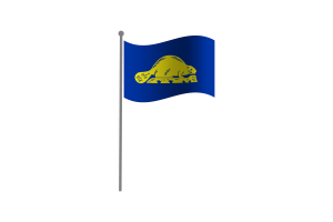 Waving Flag of Oregon Reverse flag