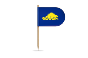 Oregon Reverse Flag for Desk, Table flag