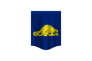 Oregon Reverse Flag Banner flag