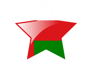 Oman Flag Star Icon flag
