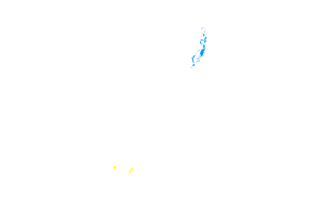 Palau Map with Flag flag
