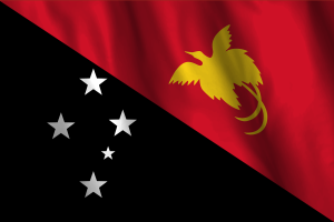 National Flag of Papua New Guinea flag