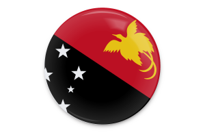 Papua New Guinea Flag Vector Art flag