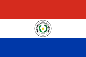 Flag of Paraguay flag