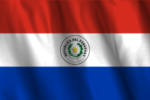 National Flag of Paraguay flag