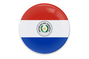 Paraguay Flag Vector Art flag