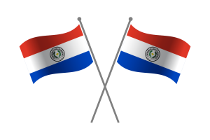 Paraguay Friendship Flag flag