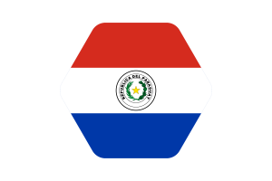 Paraguay Flag Vector Illustration flag