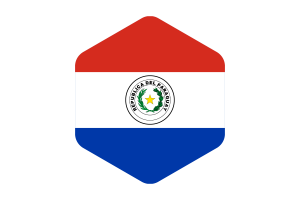 Paraguay Flag Rounded Hexagon Shape flag