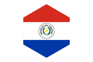 Paraguay Flag Hexagon Shape flag