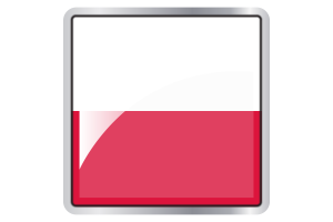 Poland Flag Square icon flag