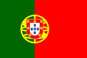 Flag of Portugal flag