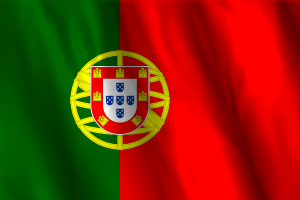 National Flag of Portugal flag