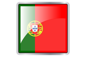Portugal Flag Square icon flag