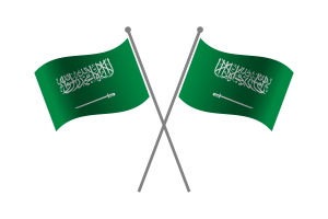 Saudi Arabia Friendship Flag flag