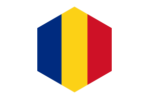 Romania Flag Hexagon Shape flag
