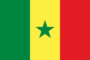 Flag of Senegal flag