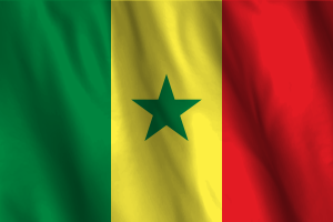 National Flag of Senegal flag