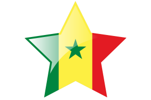 Senegal Flag Star Icon flag