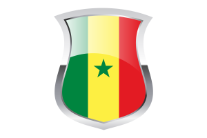 Senegal Pride Flag flag