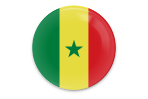 Senegal Flag Vector Art flag