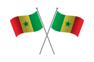 Senegal Friendship Flag flag