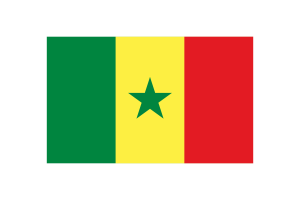 Senegal Flag Triangle Vector Illustration flag