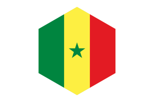 Senegal Flag Hexagon Shape flag