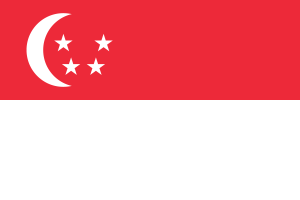 Flag of Singapore flag