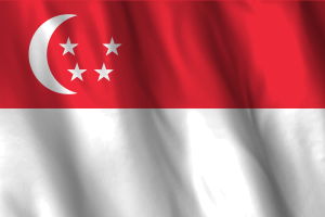National Flag of Singapore flag