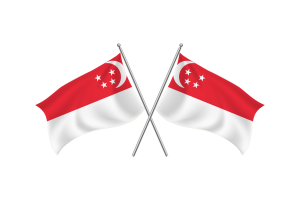 Singapore Waving Friendship Flag flag