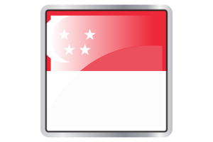 Singapore Flag Square icon flag