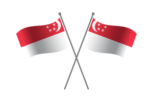 Singapore Friendship Flag flag