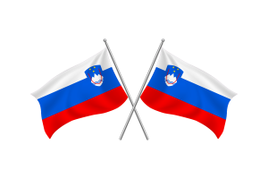 Slovenia Waving Friendship Flag flag