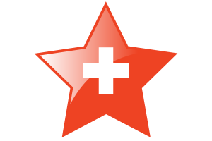Switzerland Flag Star Icon flag