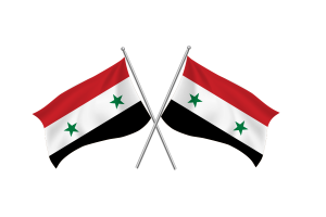 Syria Waving Friendship Flag flag
