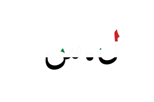 Syria Currency icon flag