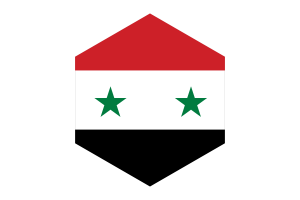 Syria Flag Hexagon Shape flag